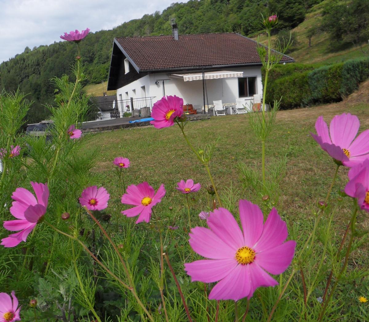 Hbergement de vacances Appartement LA BRESSE 88250 Vosges FRANCE