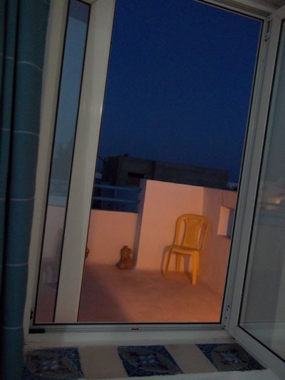 H�bergement de vacances&nbsp;Appartement&nbsp;HAMMAMET &nbsp;TUNISIE&nbsp;&nbsp;