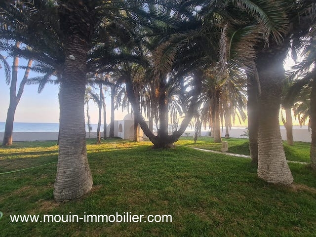 Hbergement de vacances Maison/Villa HAMMAMET TUNISIE  