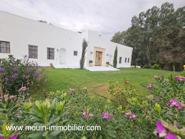 Hbergement de vacances Maison/Villa HAMMAMET TUNISIE  