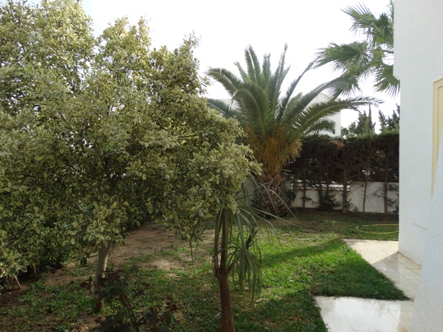 Hbergement de vacances Maison/Villa YASMINE HAMMAMET TUNISIE  