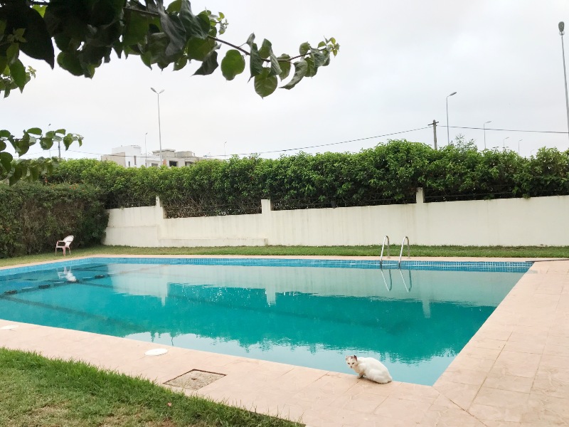Location annuelle&nbsp;Appartement&nbsp;RAABT&nbsp;MAROC&nbsp;&nbsp;