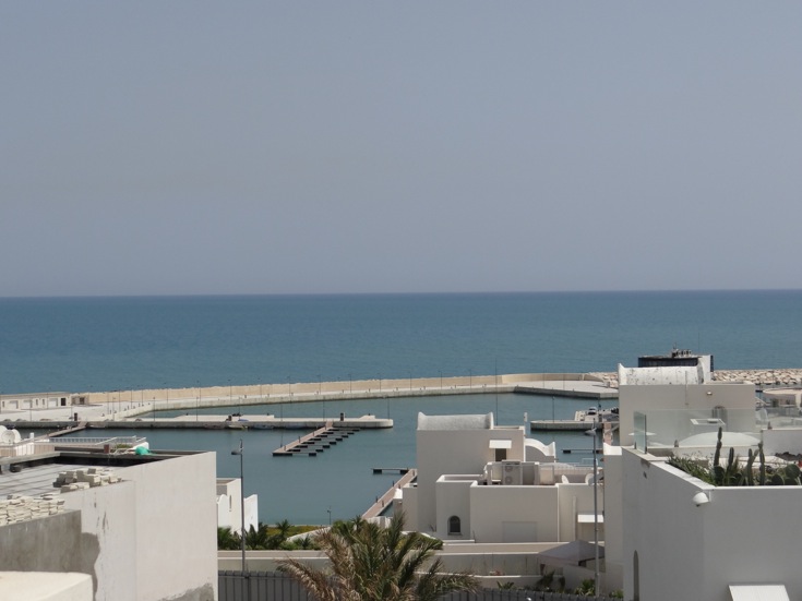 Location annuelle Appartement GAMMARTH TUNISIE  