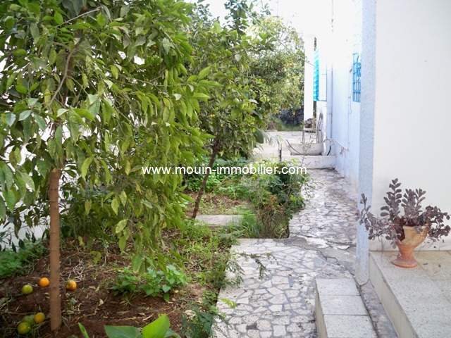 Location annuelle Appartement HAMMAMET TUNISIE  