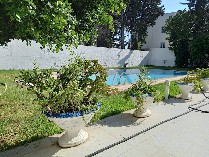 Location annuelle Appartement HAMMAMET TUNISIE  