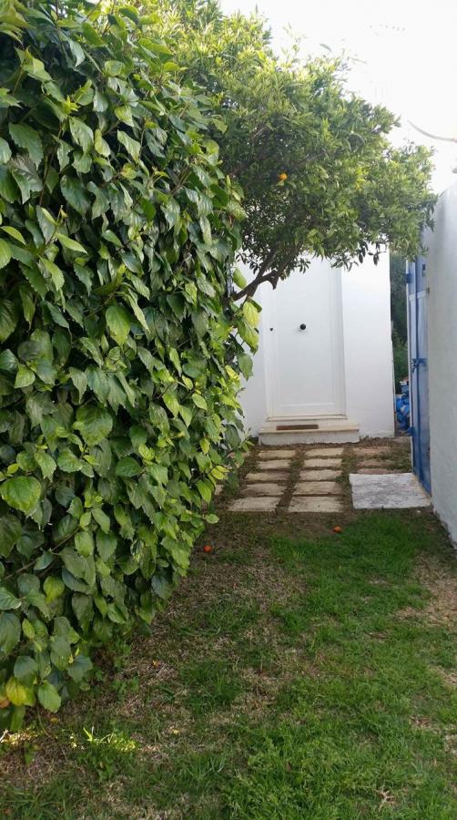 Location annuelle Appartement HAMMAMET TUNISIE  