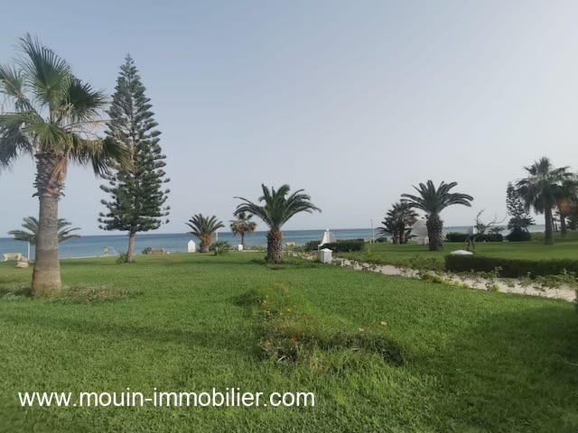 Location annuelle&nbsp;Appartement&nbsp;HAMMAMET&nbsp;TUNISIE&nbsp;&nbsp;