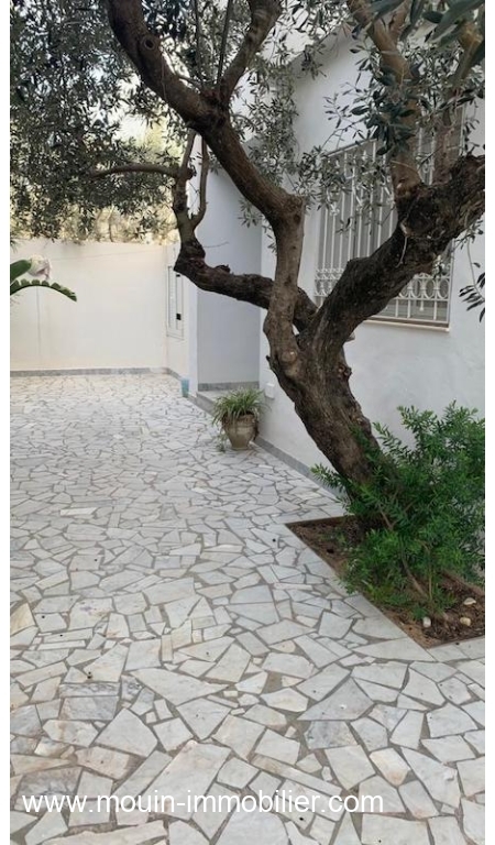 Location annuelle Appartement HAMMAMET NORD TUNISIE  