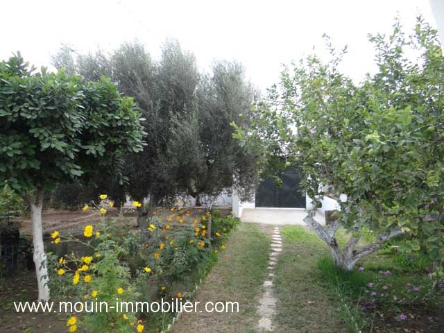 Location annuelle&nbsp;Appartement&nbsp;HAMMAMET SUD&nbsp;TUNISIE&nbsp;&nbsp;