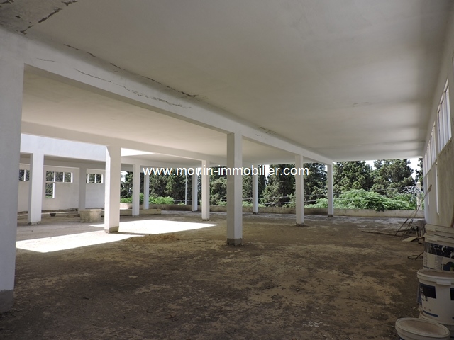 Location annuelle&nbsp;Bureau/Local&nbsp;HAMMAMET &nbsp;TUNISIE&nbsp;&nbsp;