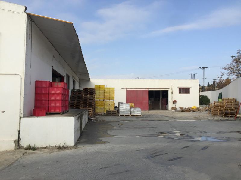 Location annuelle Commerce SIDI REZIG MEGRINE TUNISIE  