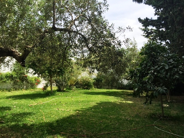 Location annuelle&nbsp;Maison/Villa&nbsp;BARREKET ESSAHEL HAMMAMET&nbsp;TUNISIE&nbsp;&nbsp;