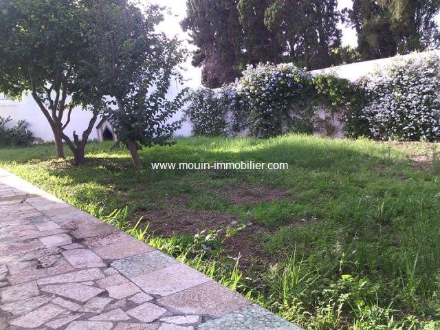 Location annuelle Maison/Villa HAMMAMET  TUNISIE  