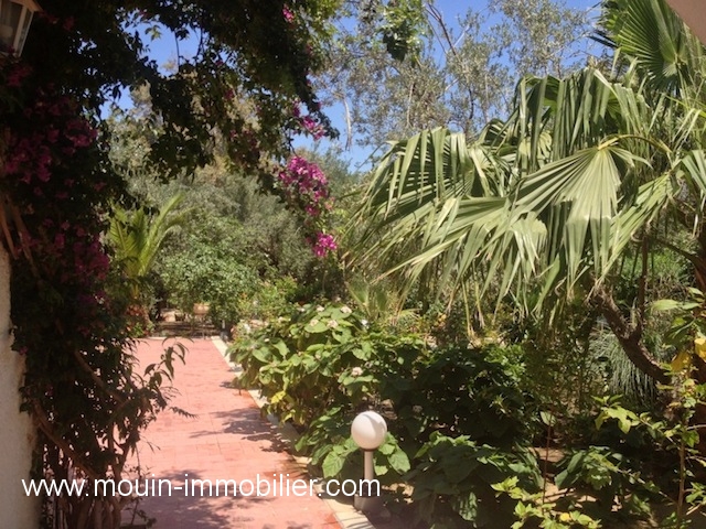 Location annuelle Maison/Villa HAMMAMET  TUNISIE  