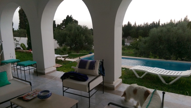 Location annuelle&nbsp;Maison/Villa&nbsp;HAMMAMET&nbsp;TUNISIE&nbsp;&nbsp;