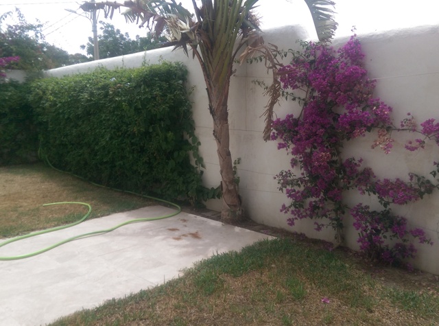 Location annuelle&nbsp;Maison/Villa&nbsp;HAMMAMET&nbsp;TUNISIE&nbsp;&nbsp;