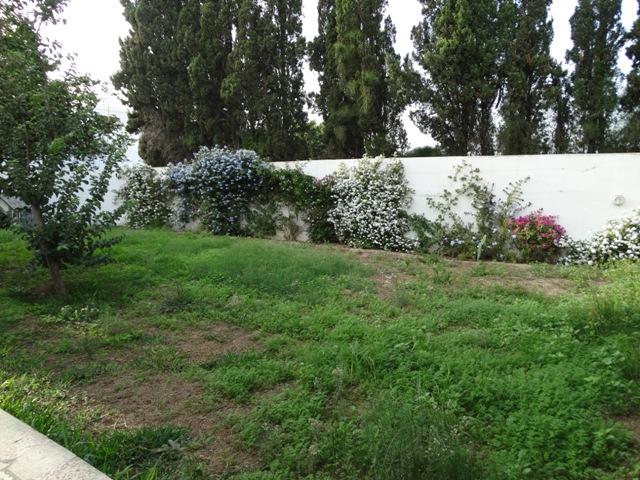Location annuelle&nbsp;Maison/Villa&nbsp;HAMMAMET&nbsp;TUNISIE&nbsp;&nbsp;