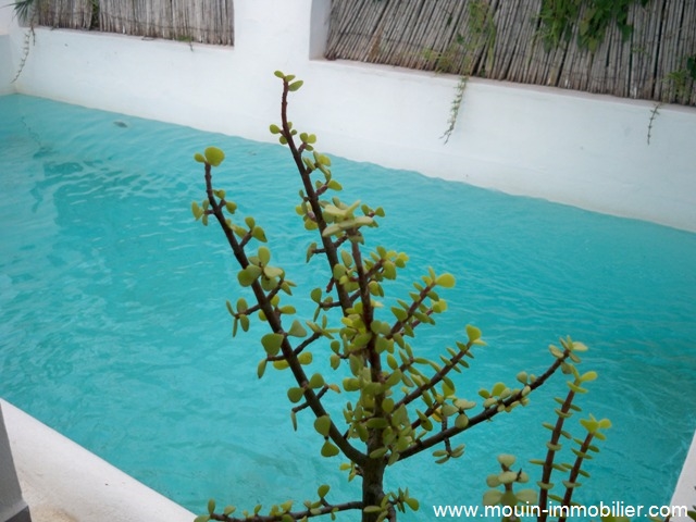 Location annuelle&nbsp;Maison/Villa&nbsp;HAMMAMET&nbsp;TUNISIE&nbsp;&nbsp;