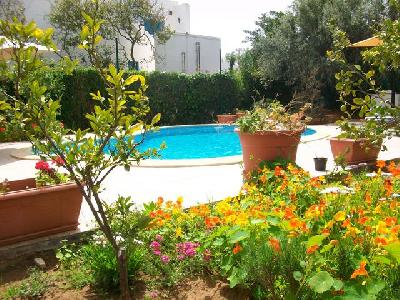 Location annuelle&nbsp;Maison/Villa&nbsp;HAMMAMET&nbsp;TUNISIE&nbsp;&nbsp;