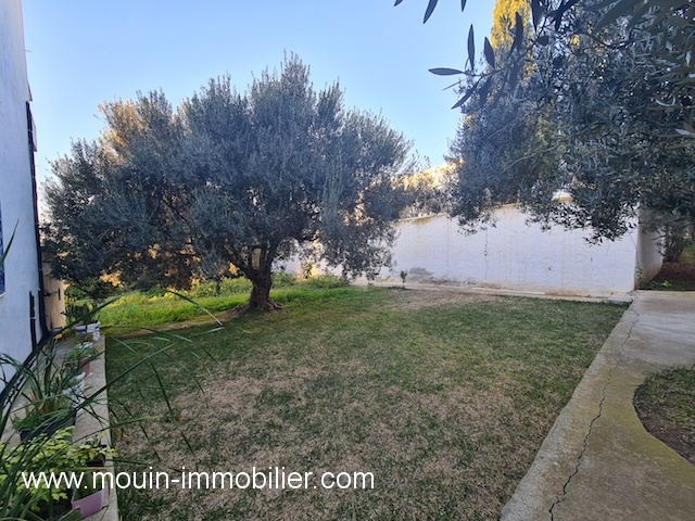 Location annuelle Maison/Villa HAMMAMET TUNISIE  