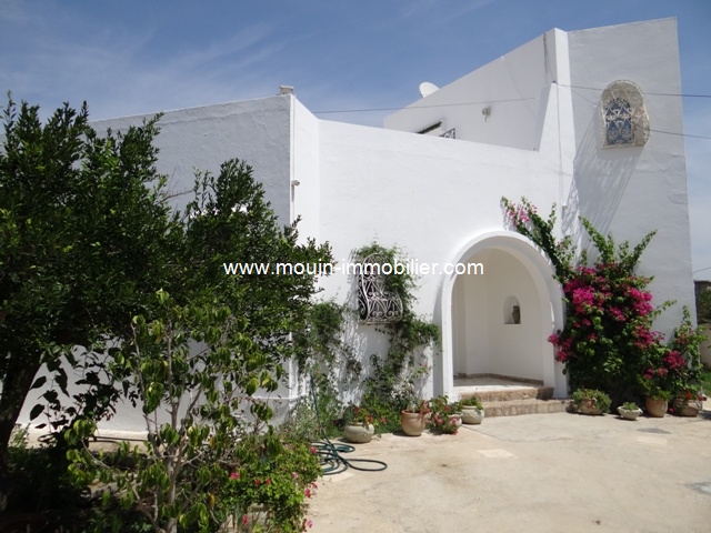 Location annuelle Maison/Villa HAMMAMET TUNISIE  