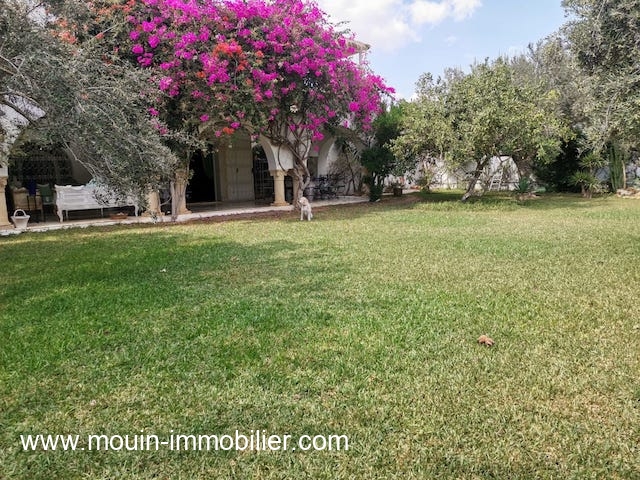 Location annuelle Maison/Villa HAMMAMET TUNISIE  