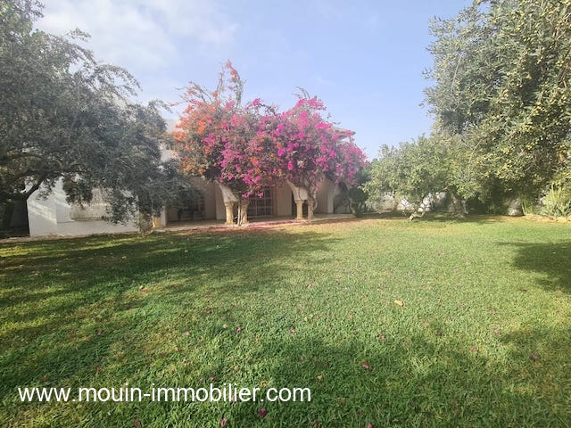 Location annuelle&nbsp;Maison/Villa&nbsp;HAMMAMET&nbsp;TUNISIE&nbsp;&nbsp;