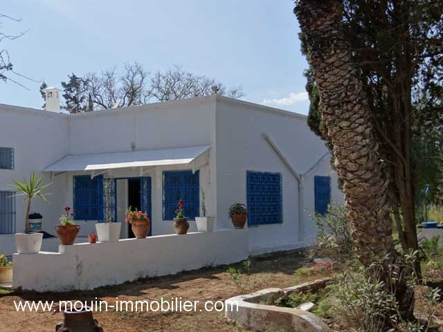 Location annuelle&nbsp;Maison/Villa&nbsp;HAMMAMET&nbsp;TUNISIE&nbsp;&nbsp;