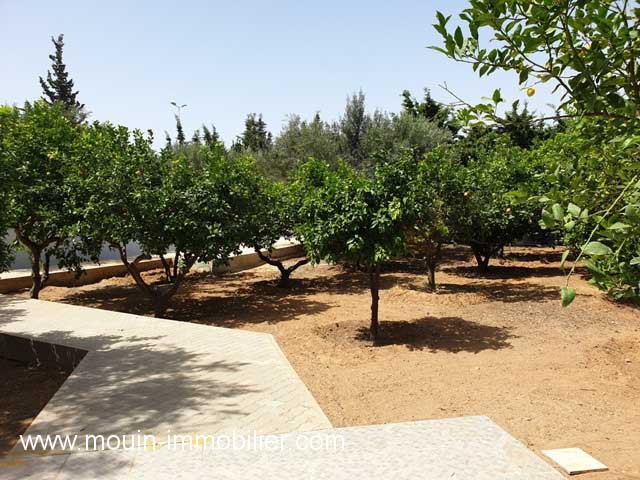 Location annuelle Maison/Villa HAMMAMET NORD TUNISIE  