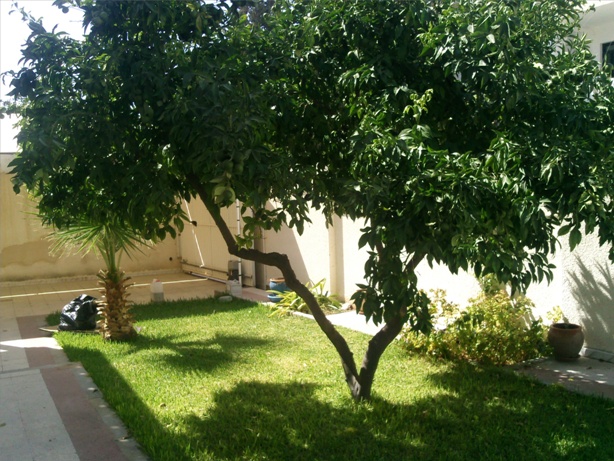 Location annuelle Maison/Villa SOUSSE KHEZAMA TUNISIE  