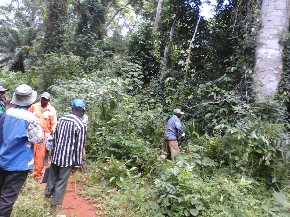 Location annuelle&nbsp;Terrain&nbsp;MENGANG&nbsp;CAMEROUN&nbsp;&nbsp;