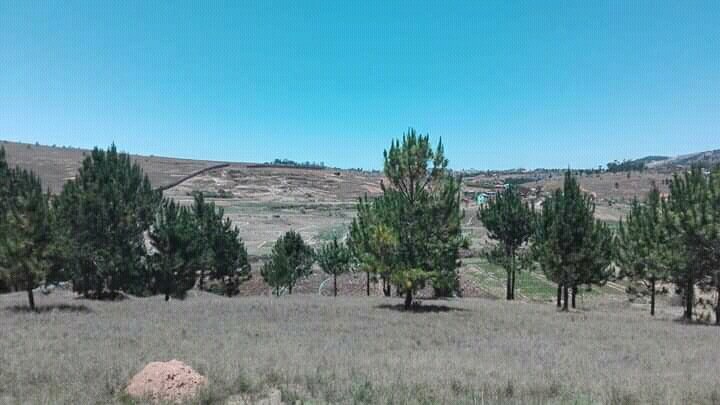 Location annuelle Terrain ANTANANARIVE MADAGASCAR  