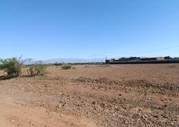 Location annuelle Terrain SANDIARA, MBOUR SENEGAL  