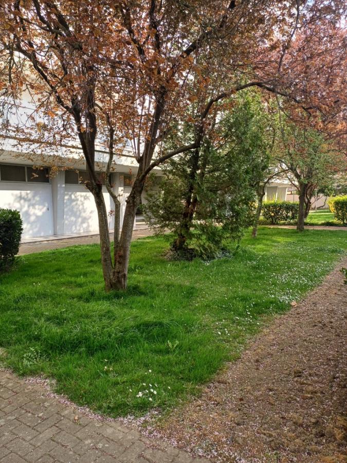 Vente Appartement STRASBOURG 67000 Bas Rhin FRANCE