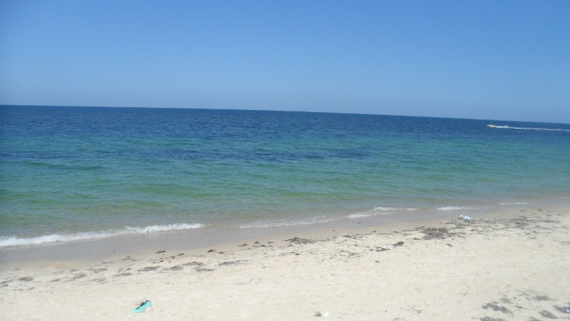 Vente Appartement HAMMAM-SOUSSE TUNISIE  