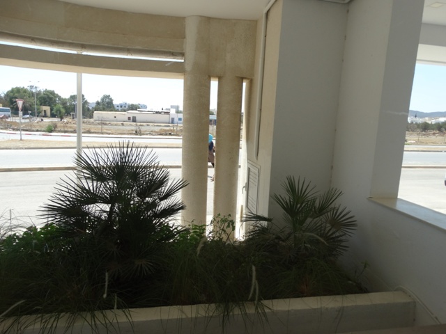 Vente&nbsp;Appartement&nbsp;HAMMAMET NORD MREZKA&nbsp;TUNISIE&nbsp;&nbsp;