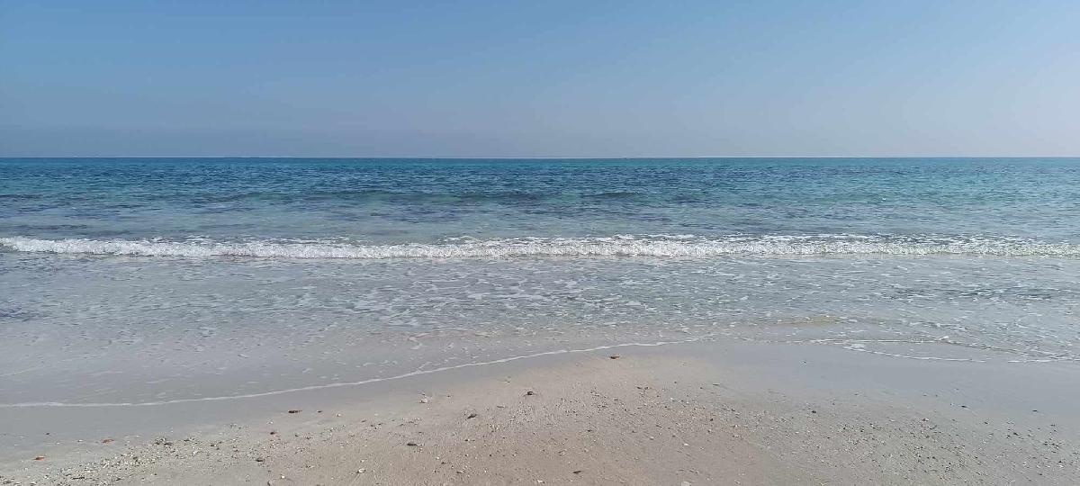 Vente Appartement MAHDIA TUNISIE  