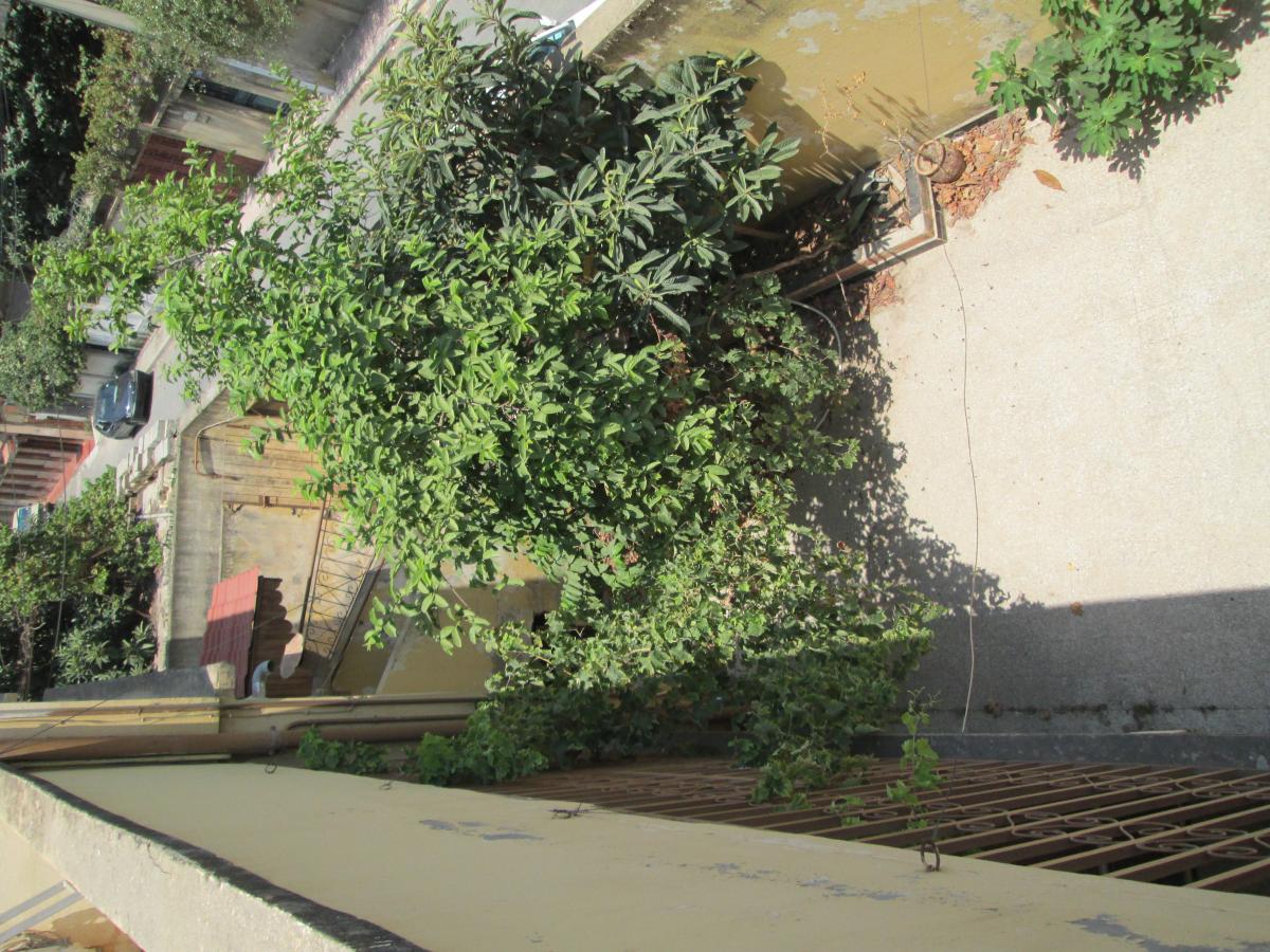 Vente Maison/Villa BLIDA ALGERIE  