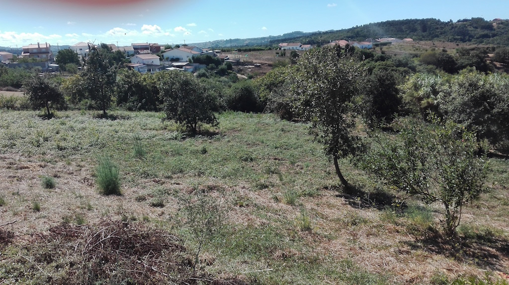 Vente Maison/Villa ALCOBACA PORTUGAL  