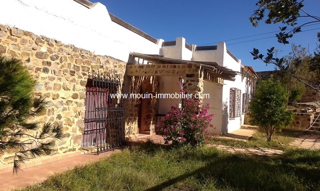 Vente Maison/Villa BIRBOUREGBA TUNISIE  
