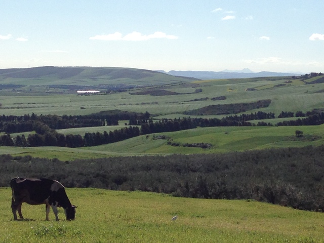 Vente&nbsp;Maison/Villa&nbsp;BIZERTE&nbsp;TUNISIE&nbsp;&nbsp;
