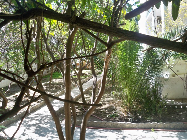 Vente Maison/Villa CARTHAGE TUNISIE  