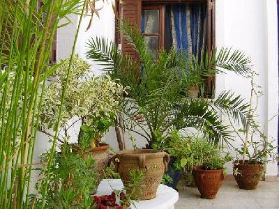 Vente&nbsp;Maison/Villa&nbsp;CENTRE VILLE HAMMAMET&nbsp;TUNISIE&nbsp;&nbsp;