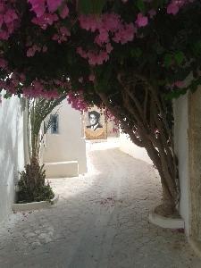 Vente Maison/Villa DJERBA TUNISIE  