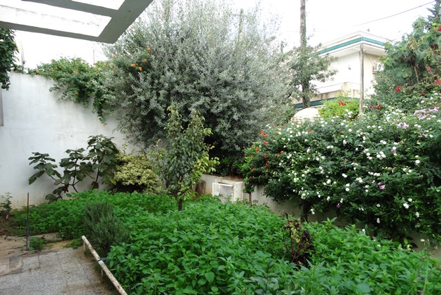Vente&nbsp;Maison/Villa&nbsp;EL MENZAH TUNIS&nbsp;TUNISIE&nbsp;&nbsp;