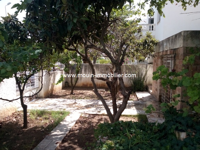 Vente&nbsp;Maison/Villa&nbsp;EL MENZEH 7&nbsp;TUNISIE&nbsp;&nbsp;