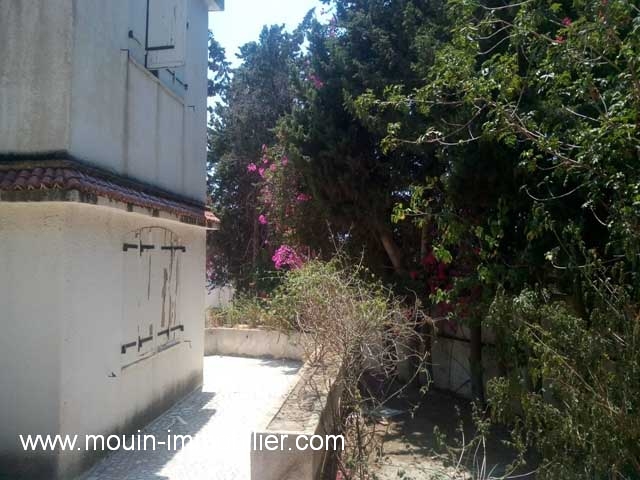 Vente Maison/Villa GAMMARTH TUNISIE  