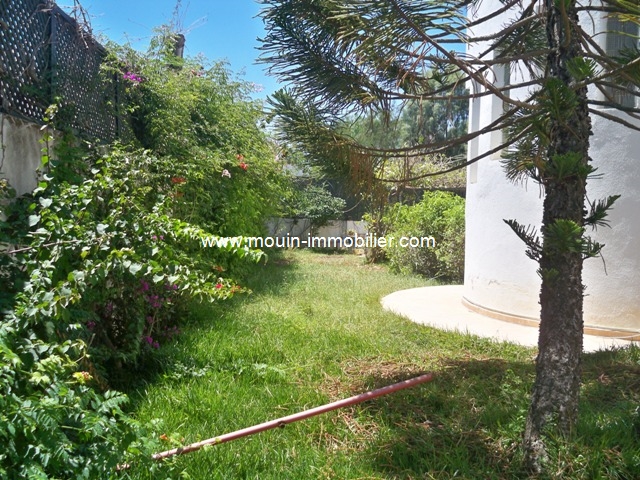 Vente Maison/Villa GAMMARTH TUNIS TUNISIE  