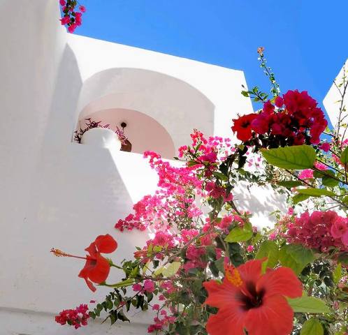 Vente&nbsp;Maison/Villa&nbsp;HAMMAMET&nbsp;TUNISIE&nbsp;&nbsp;