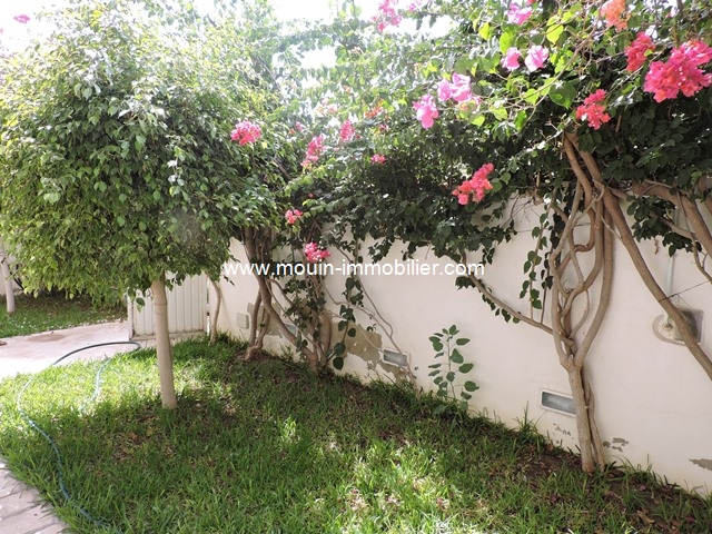 Vente&nbsp;Maison/Villa&nbsp;HAMMAMET&nbsp;TUNISIE&nbsp;&nbsp;